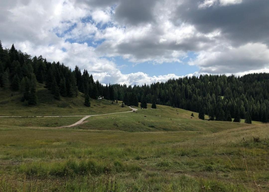 Appartamento Cologna Castelfondo Экстерьер фото