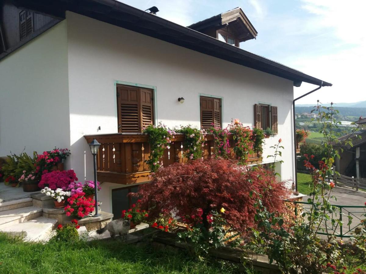 Appartamento Cologna Castelfondo Экстерьер фото
